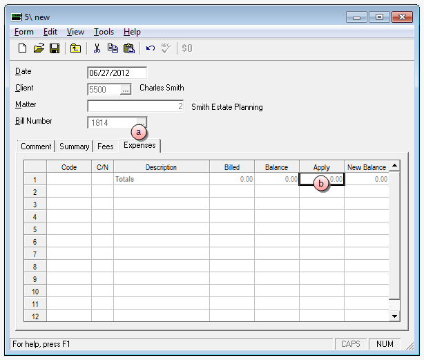 Credit memo Expenses tab window