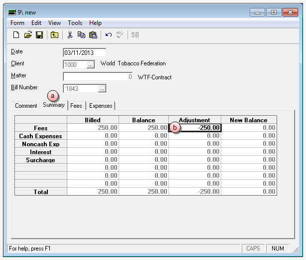 Credit memo Summary tab window