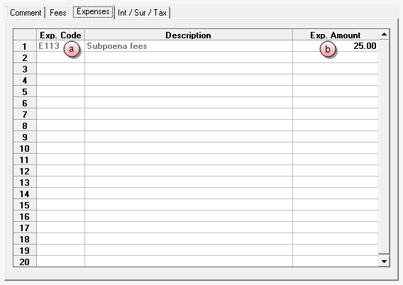 New Manual Bill Expenses tab