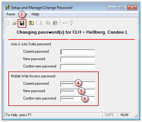 Setup and Manage\Change Password window, Mobile Web Access password