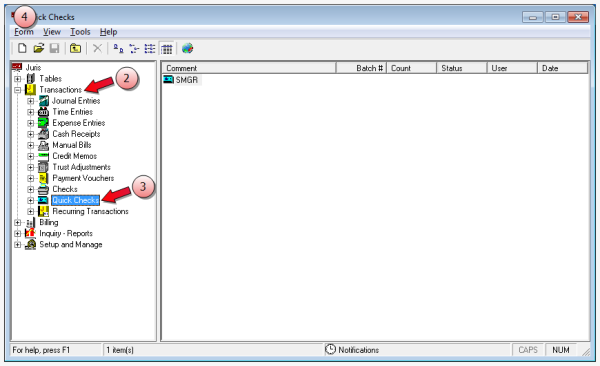 Select Transactions, and then Quick Checks